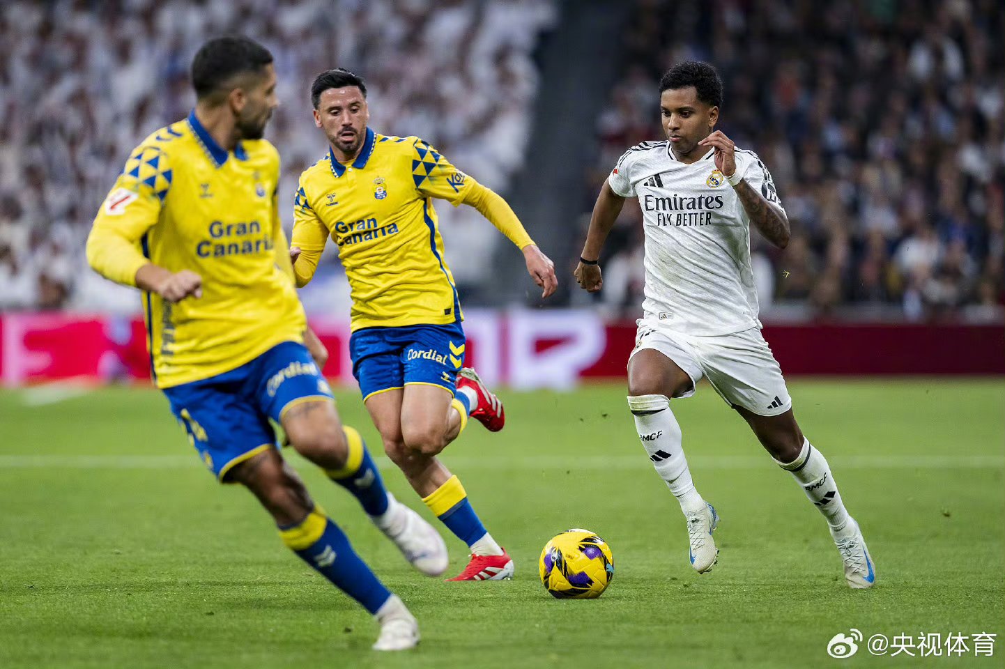 科尔多瓦vs皇马_(科尔多瓦vs皇家社会)