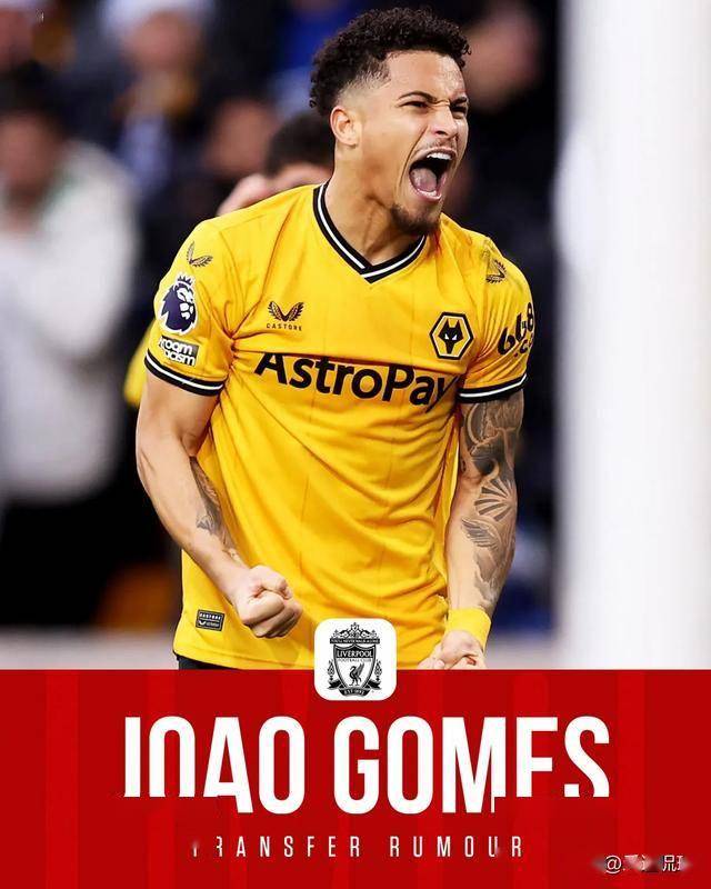 曼联有意若昂戈麦斯球员是狼队主力的简单介绍