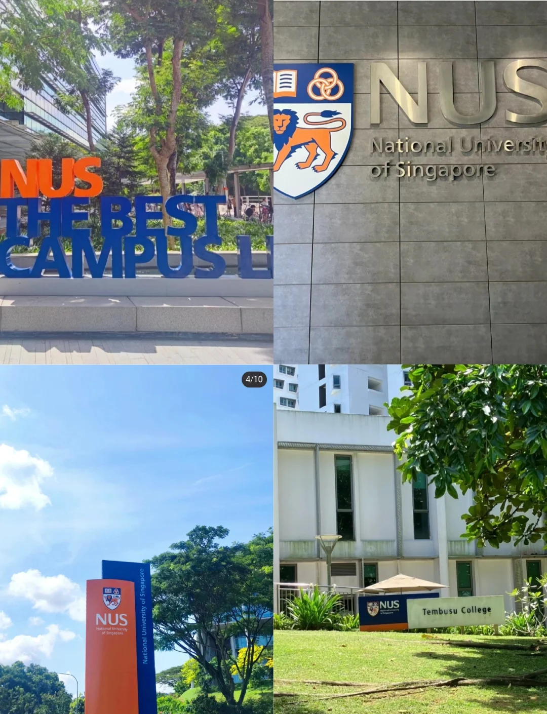 关于NCAA:加州大学戴维斯分校VS拉法叶学院的信息