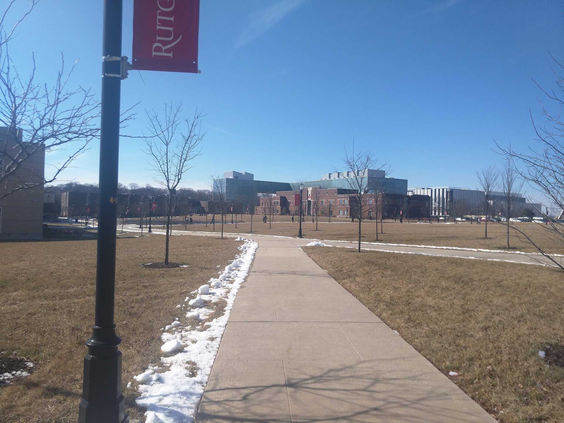 包含NCAA:罗格斯大学纽瓦克分校VS圣母大学的词条