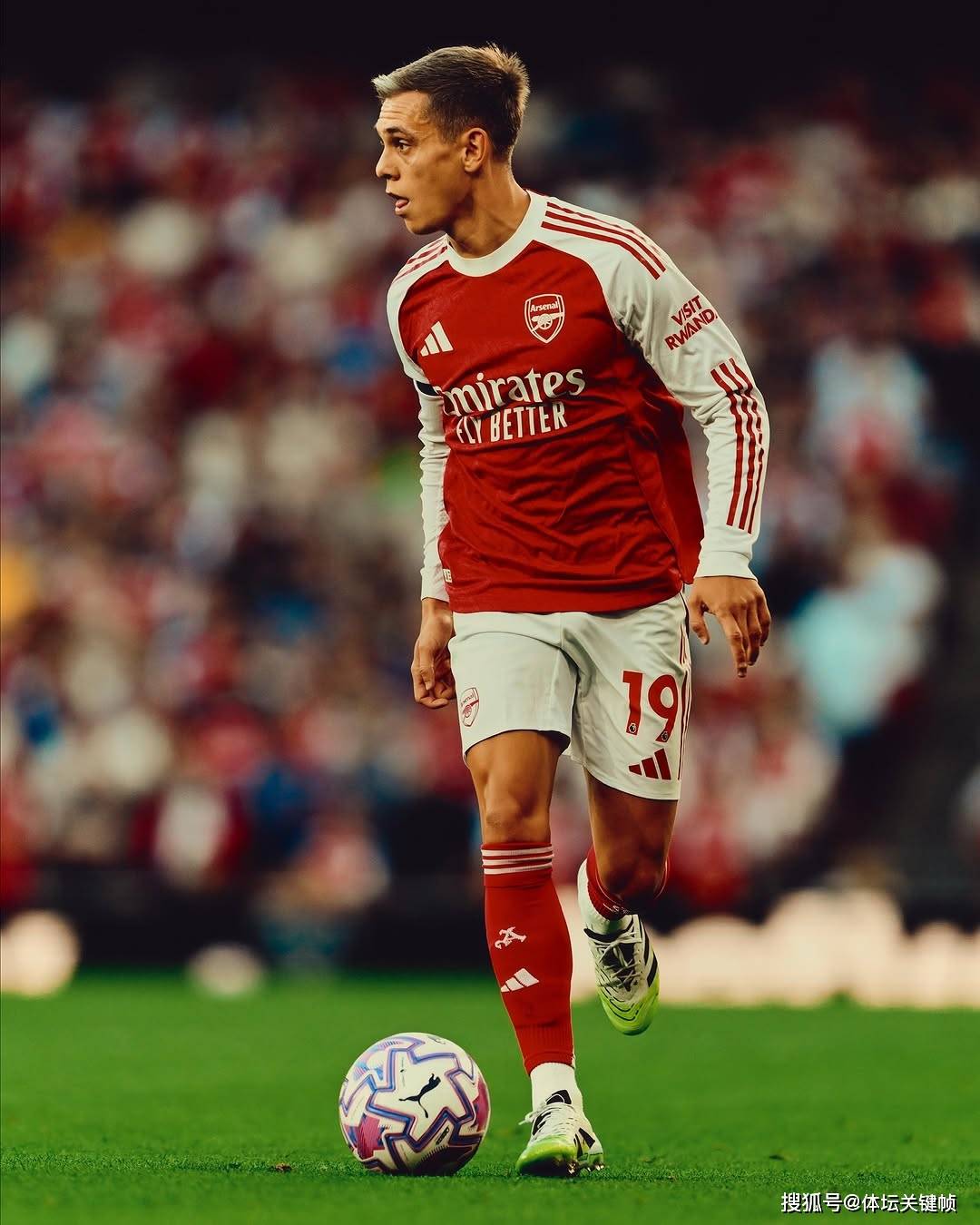 包含曝特罗萨德可以出战曼联新赛季来临前复出的词条