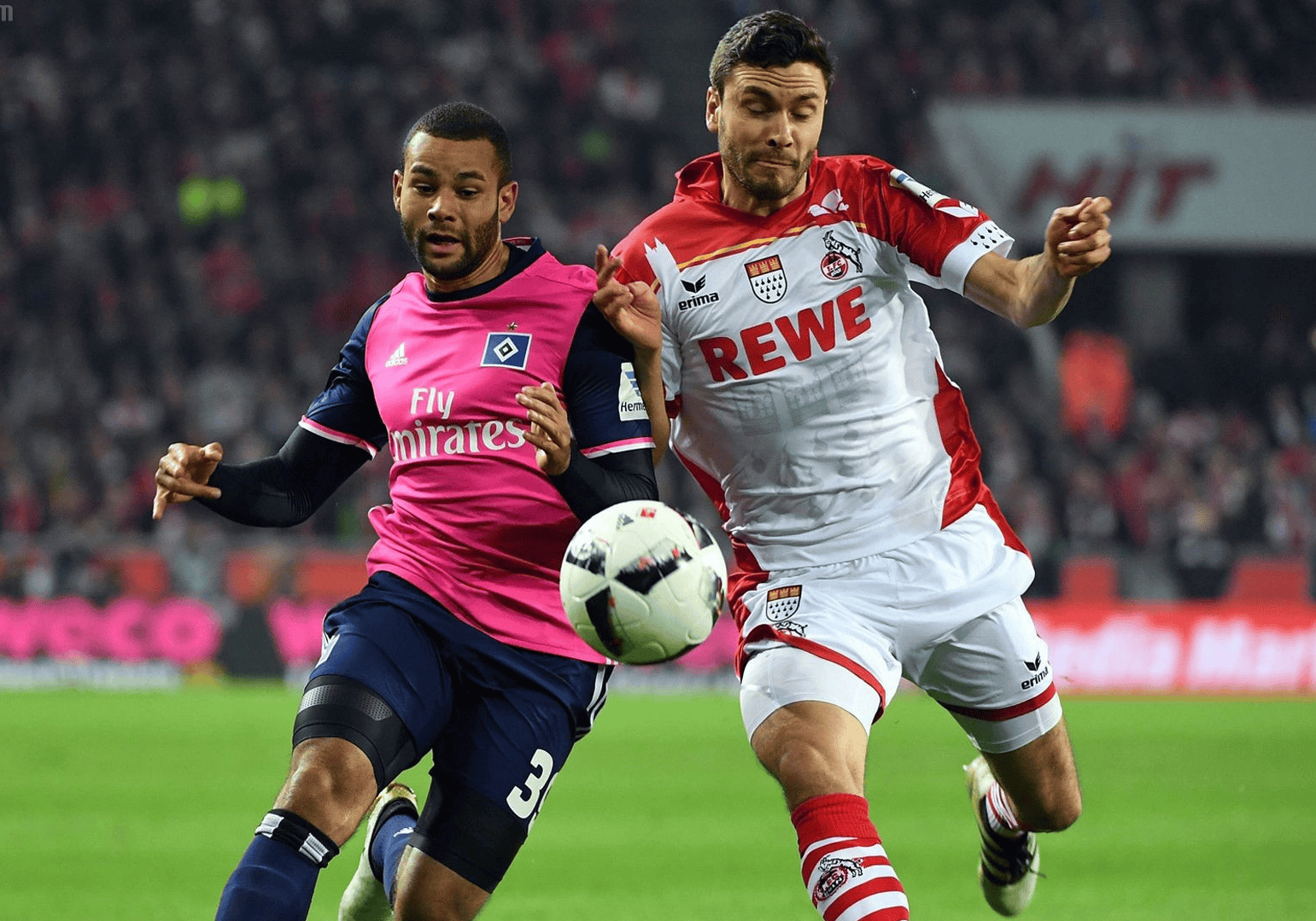 关于英乙：弗利特伍德VS什鲁斯伯里的信息