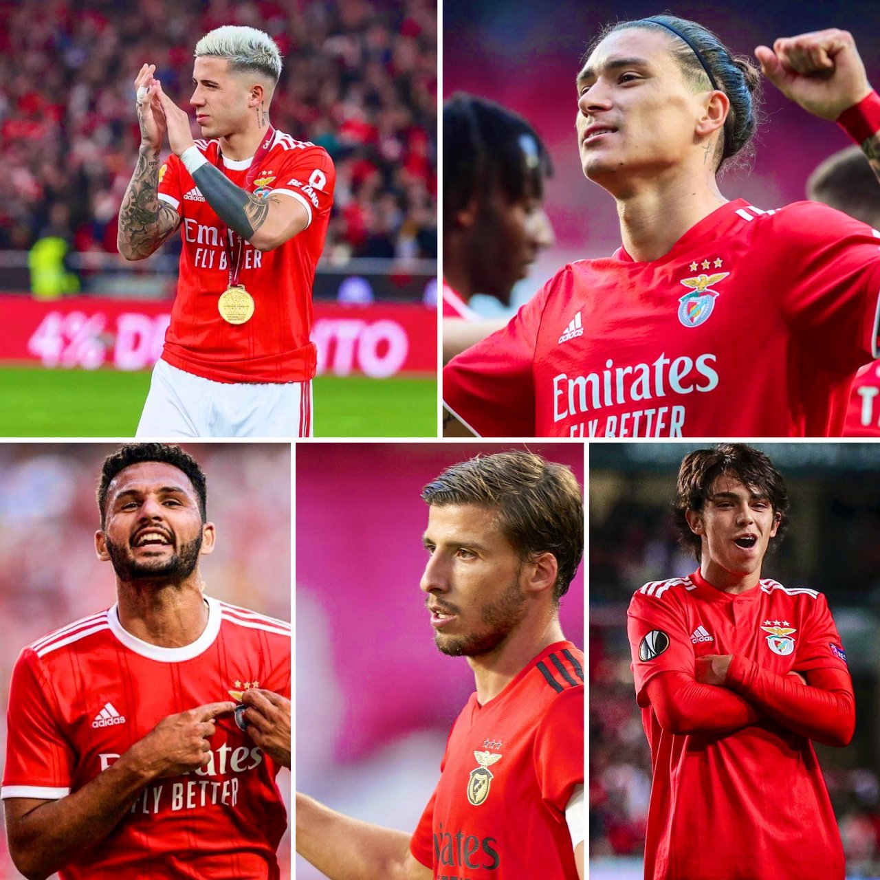 包含菲利克斯希望在夏窗回归本菲卡但多个因素制约交易的词条