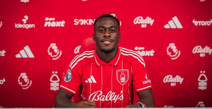 诺丁汉森林将签下雷恩前锋卡里姆恩多转会费3000万欧的简单介绍  第2张