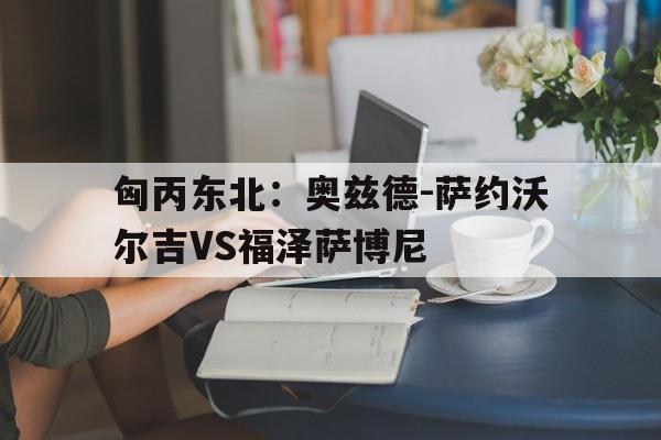 匈丙东北：奥兹德-萨约沃尔吉VS福泽萨博尼的简单介绍