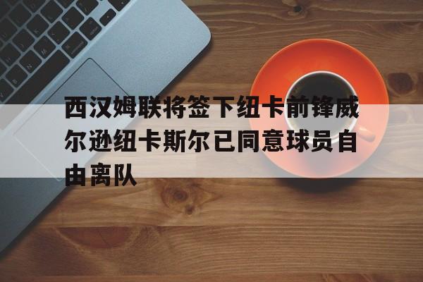 西汉姆联将签下纽卡前锋威尔逊纽卡斯尔已同意球员自由离队的简单介绍 西汉姆联将签下纽卡前锋威尔逊纽卡斯尔已同意球员自由离队的简单介绍