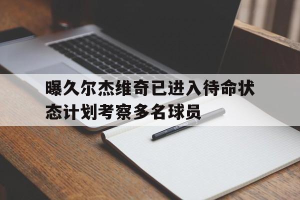 包含曝久尔杰维奇已进入待命状态计划考察多名球员的词条