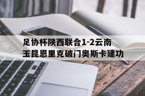关于足协杯陕西联合1-2云南玉昆恩里克破门奥斯卡建功的信息  第1张