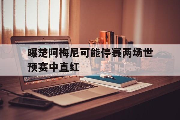 关于曝楚阿梅尼可能停赛两场世预赛中直红的信息